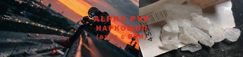 А ПВП СК КРИС  Шумиха 