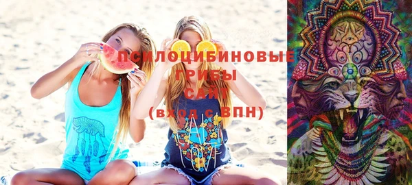 сатива Медвежьегорск