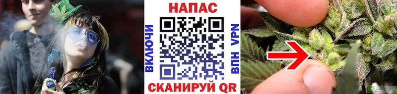 Марихуана THC 21% Шумиха